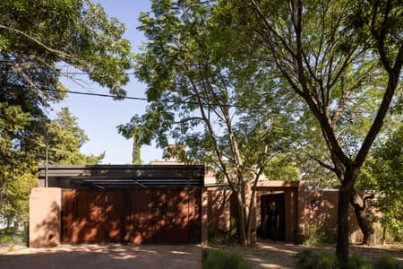 House around the Tree